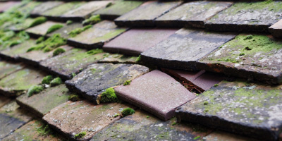 North Country roof repair costs